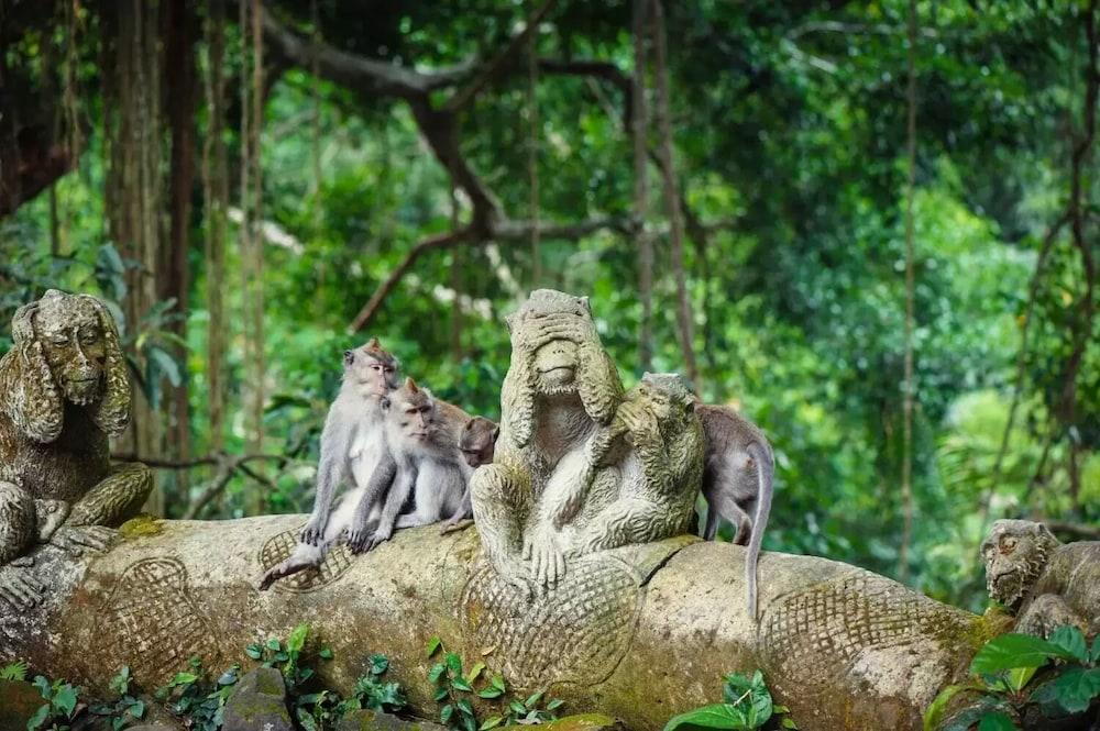 Отель Puri Padi Убуд Экстерьер фото
